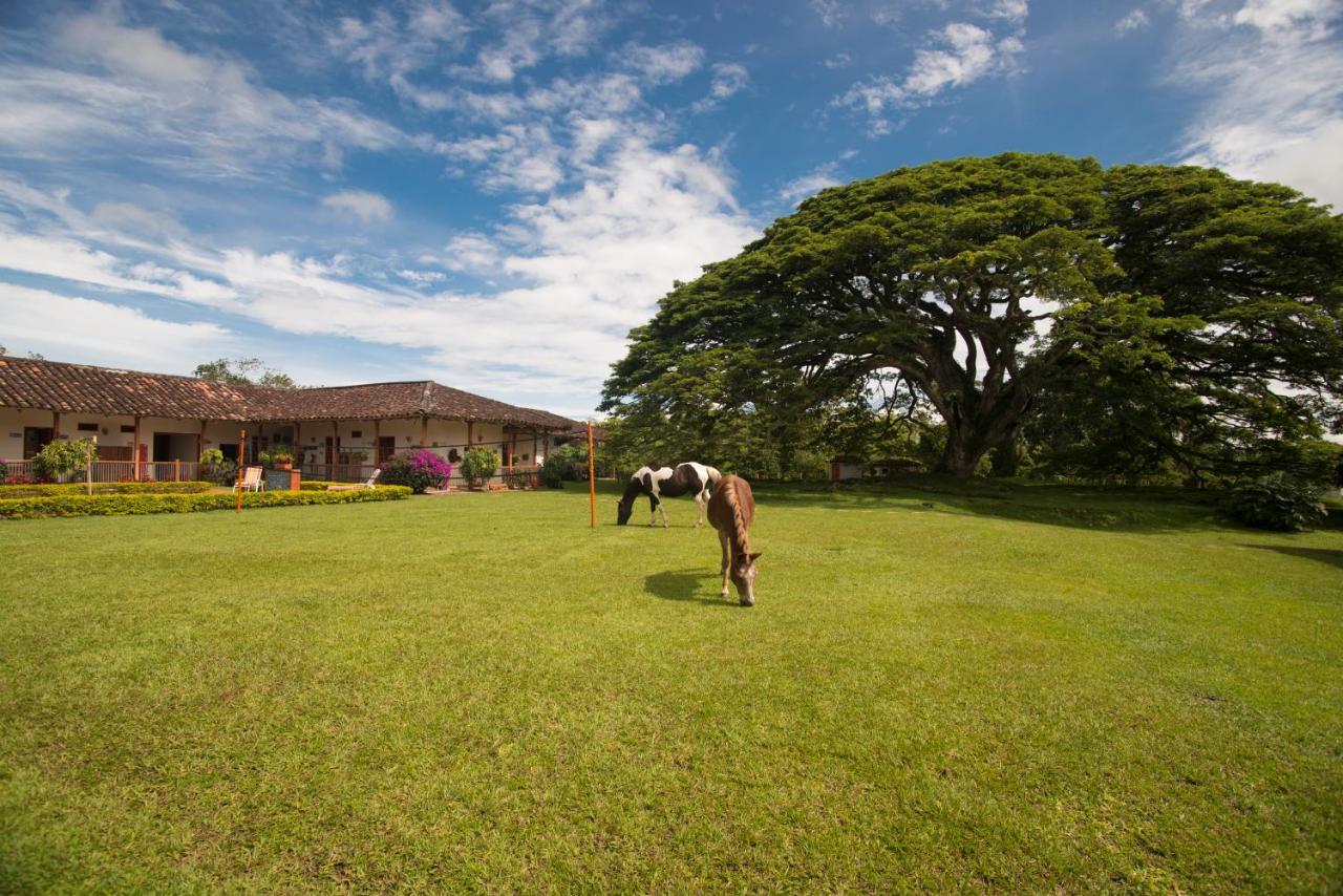 Hacienda El Samán Vila Quimbaya Exterior foto